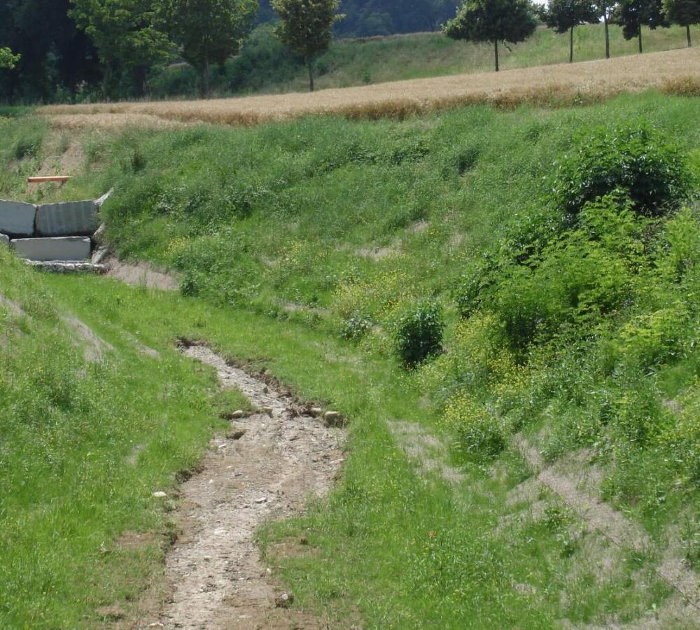 idro canale rinverdito idro canale rinverdito