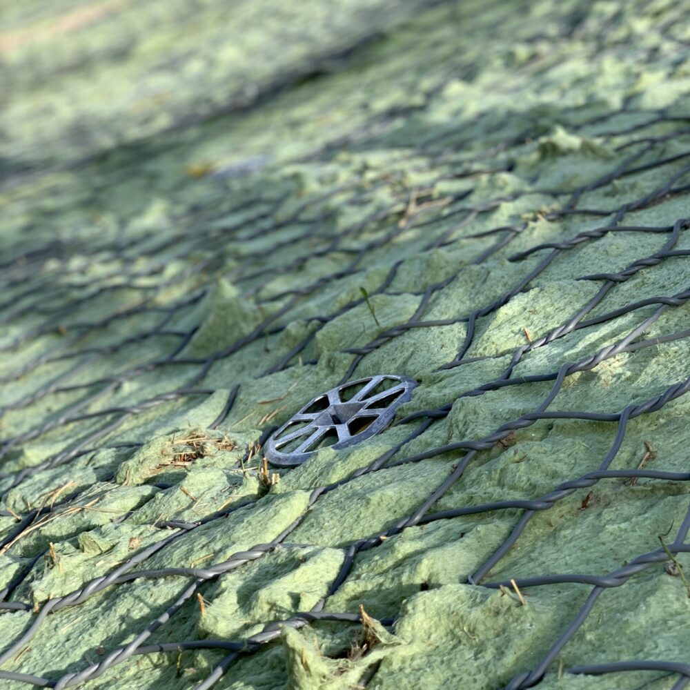6.IMG_2364 6.IMG_2364